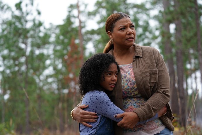 THE TIGER RISING: A Review of Giarratana’s New Film - Cinema Scholars